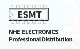 NHE  ELECTRONICS, Professional Distribution